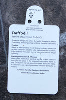 DAFFODIL DWARF JETFIRE 1L