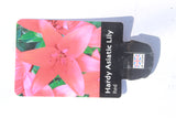 LILIES EASY START ASIATIC RED 1.4L