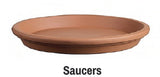 Saucer (Asst Sizes)
