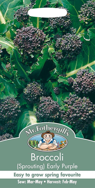 BROCCOLI (Sprouting) Early Purple