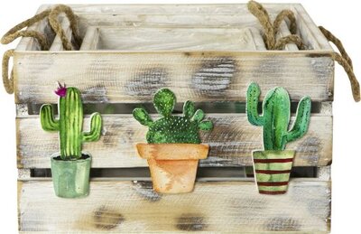 Wooden Cactus Crate (Assorted Sizes)
