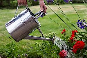 Galvanised Watering Can with Rose 2 Gallon
