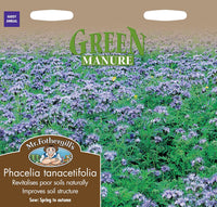 GREEN MANURE Phacelia tanacetifolia