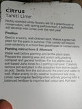 LIME CITRUS TAHITI 3L