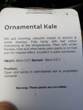 KALE ORNAMENTAL NAGOYA RED 1L