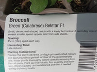 CALABRESE GREEN (AUTUMN 9 PACK)