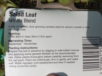 SALAD LEAF WINTER BLEND (AUTUMN 9 PACK)