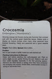 CROCOSMIA EMBER GLOW 2L