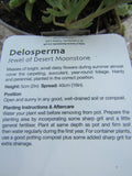 DELOSPERMA JEWEL OF DESERT MOONSTONE 1L