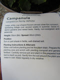 CAMPANULA PERLA WHITE 1L