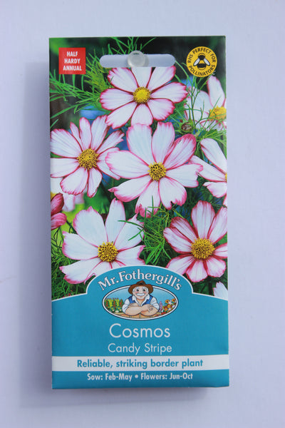COSMOS Candy Stripe