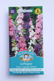 LARKSPUR Giant Imperial Mixed
