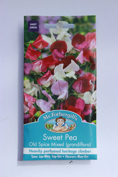 SWEET PEA Old Spice Mixed (grandiflora)