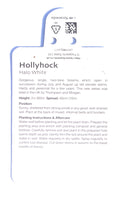 HOLLYHOCK HALO WHITE 1L