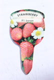 Strawberry Loran Plug