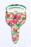Strawberry 3L Pots (Various Varieties)