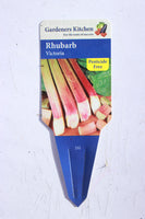 RHUBARB -VICTORIA 9cm Pot
