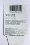 PULSATILLA PINWHEEL WHITE V11