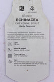 Echinacea Cheyenne Spirit 2L