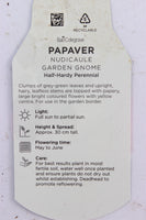 Papaver Garden Gnome 13cm