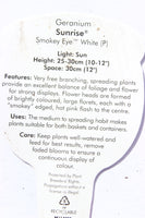 Geranium Sunrise Smokey Eye White 13cm Pot