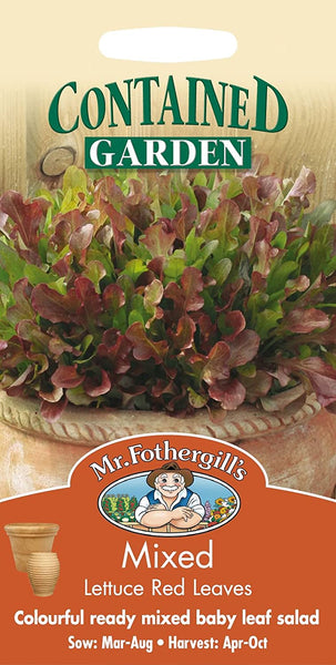 MIXED Lettuce Red Leaves