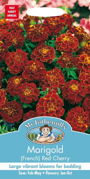 MARIGOLD (French) Red Cherry Seed