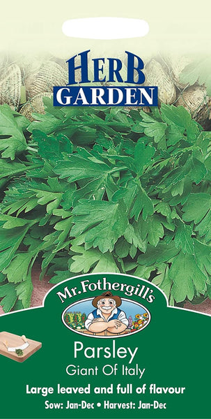 PARSLEY Giant of Italy