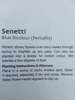 SENETTI BLUE BICOLOUR 2L