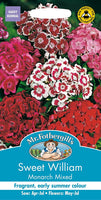 SWEET WILLIAM Monarch Mixed
