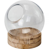 Terrarium Glass Sphere (Empty) 20cm