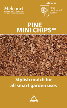 Pine Mini Chips 60L